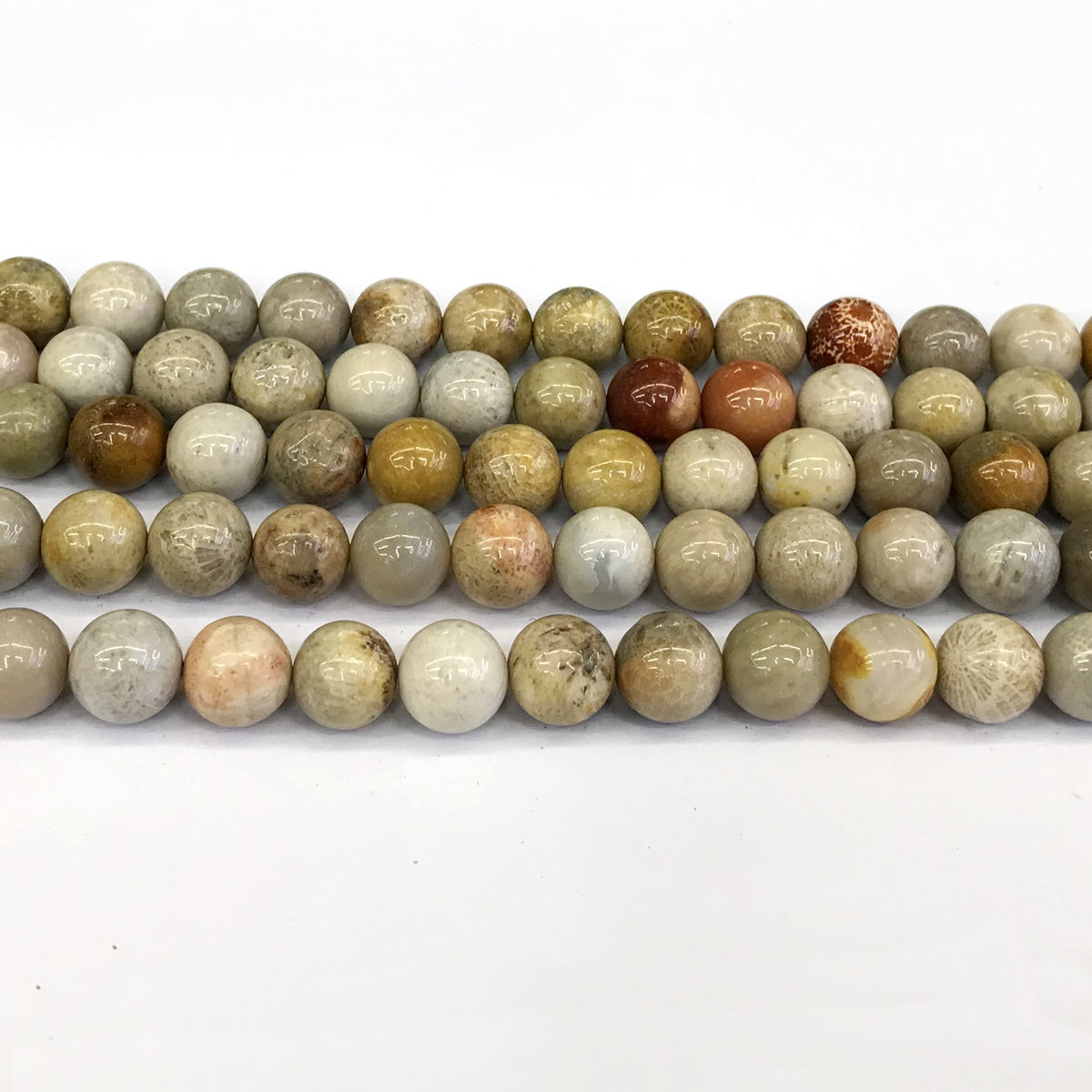 CFC04 Fossil Coral Beads Smooth Round 10mm 15" Strand